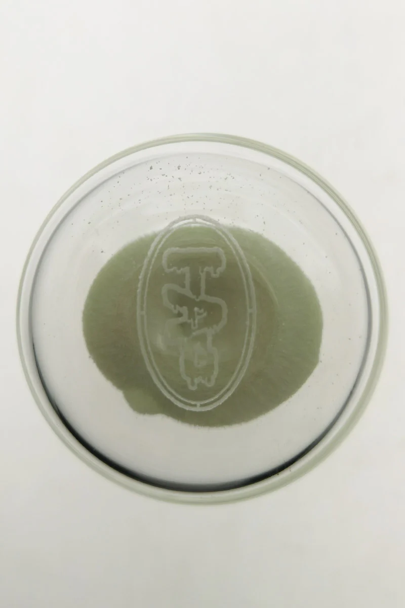 TAG - 3.5" Hour Glass with Glow in the Dark Sand - Image 15